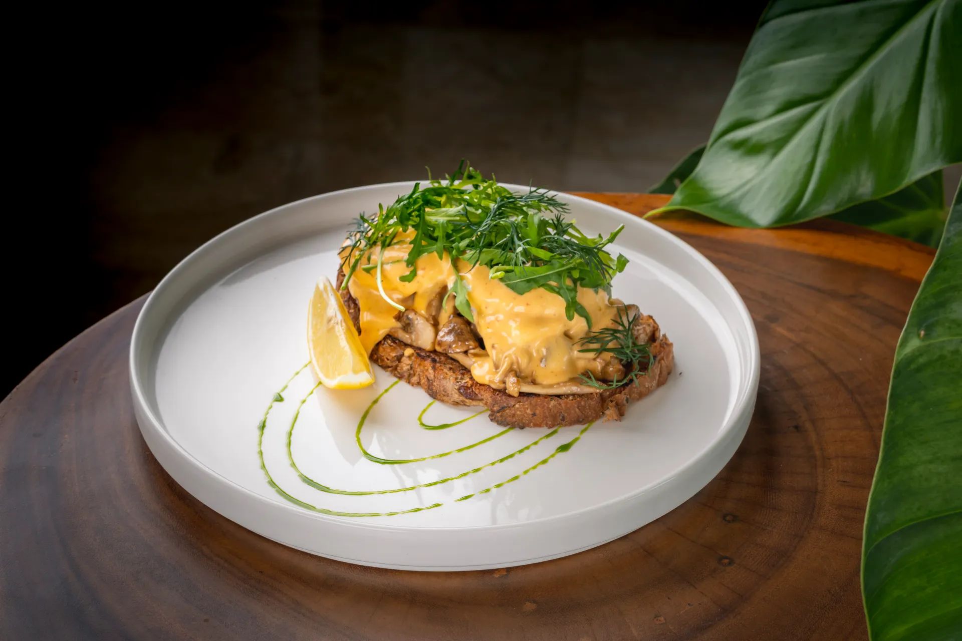 Manna mushroom benedict