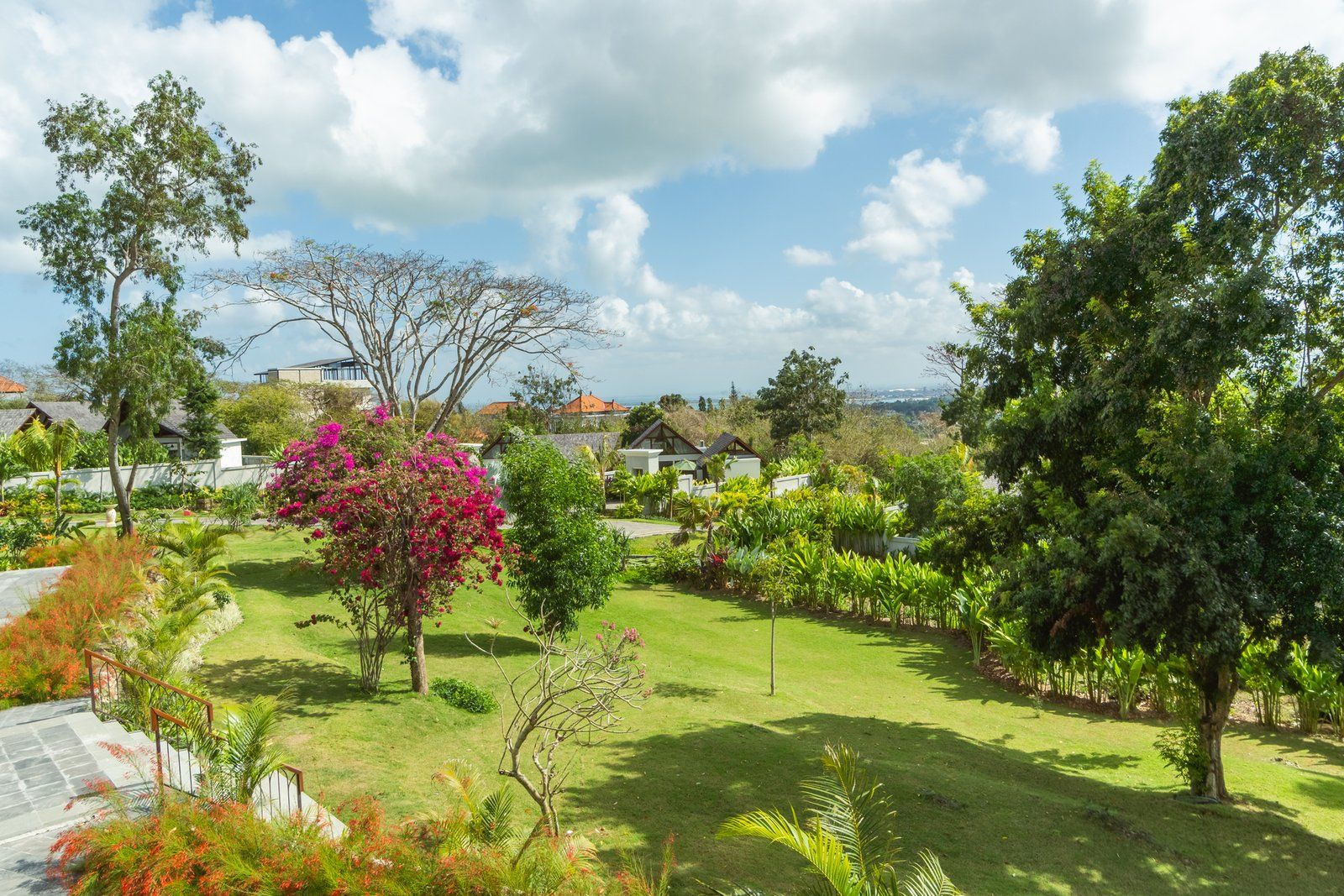 Garden and view out to the trees