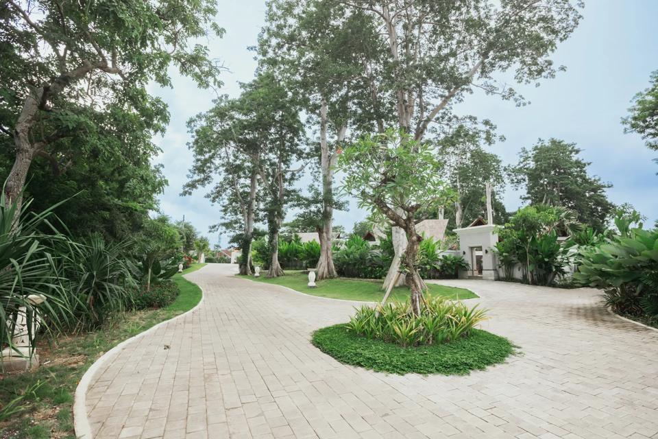 Paved path through the garden