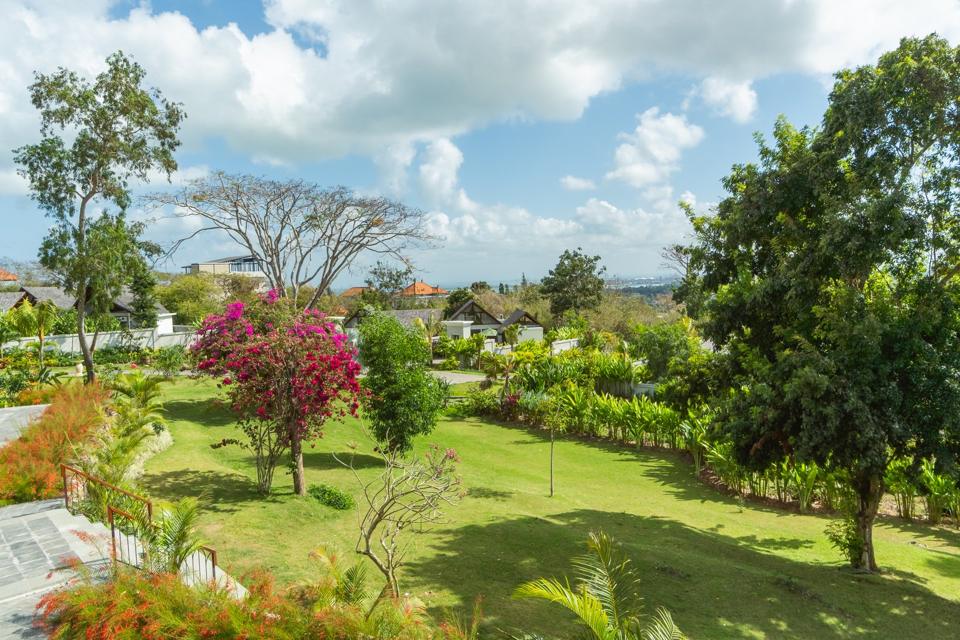Garden and view out to the trees