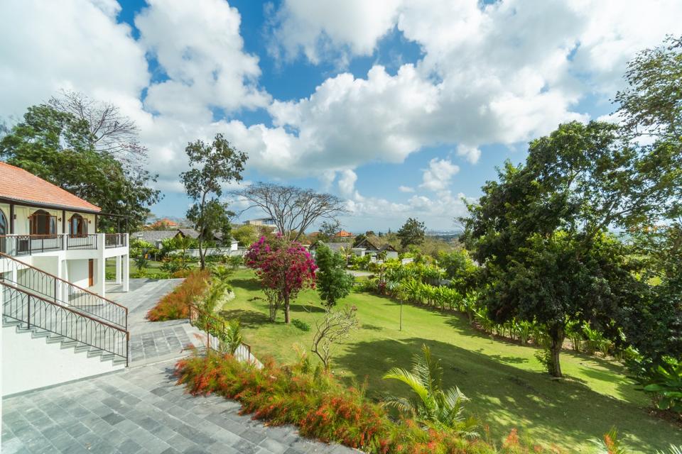 Lawn and hillside