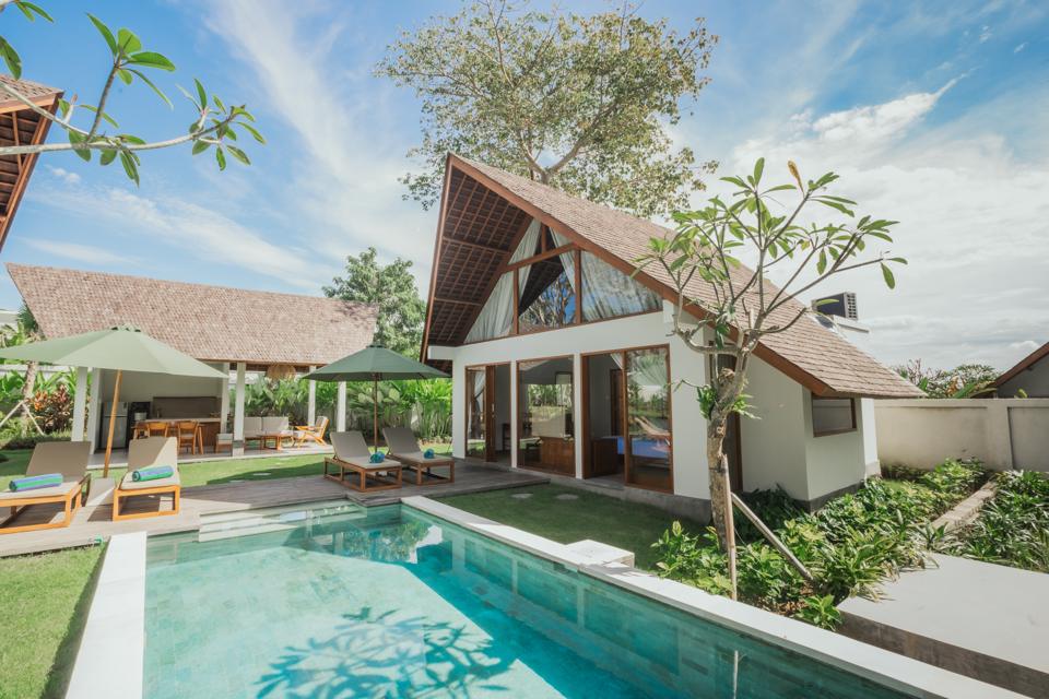 Forest View villa, pool and loungers under the trees